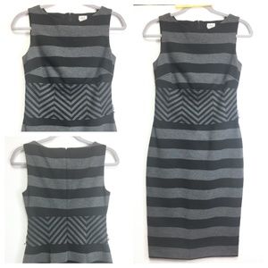 Cache black/gray bodycon straight dress‎ sz 4